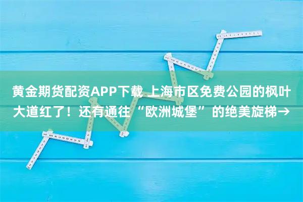 黄金期货配资APP下载 上海市区免费公园的枫叶大道红了!还有通往 “欧洲城堡” 的绝美旋梯→